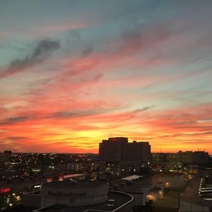 Meet your Posher, Lizzie